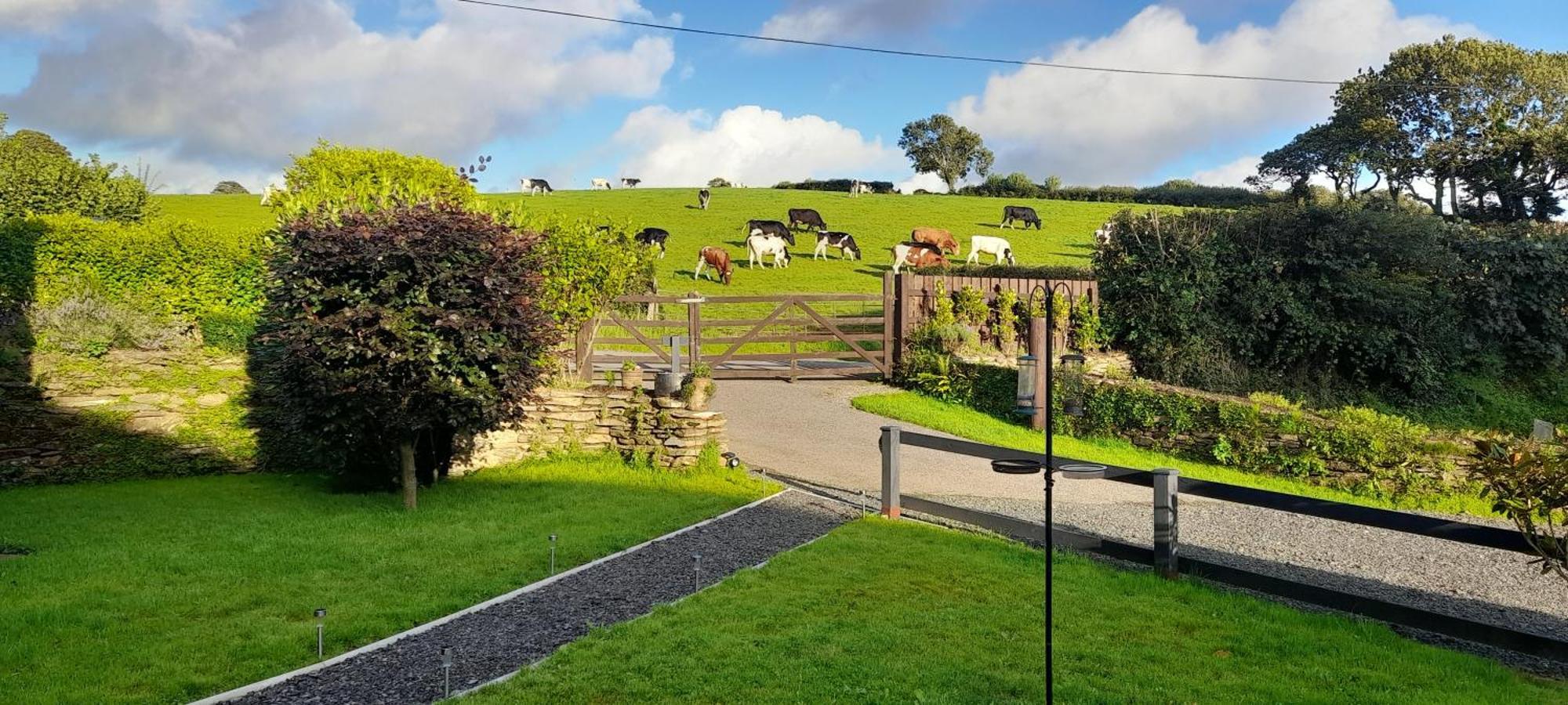 Villa Wisteria Barn, Trewethen, St Teath, Nr Port Isaac Saint Teath Esterno foto