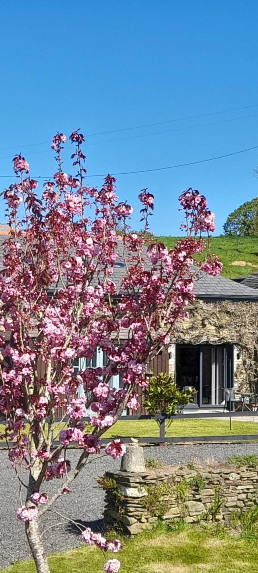 Villa Wisteria Barn, Trewethen, St Teath, Nr Port Isaac Saint Teath Esterno foto